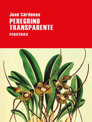 cover image of Peregrino transparente